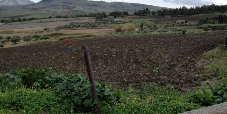 20260201104004-1021170-6