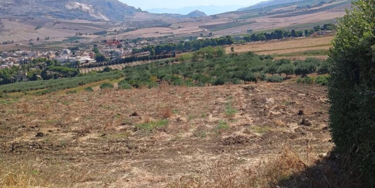 20260201104008-1021170-7