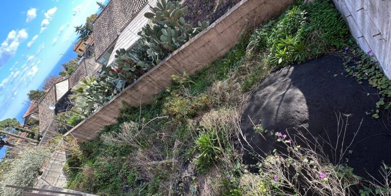 20260202162024-1021460-2