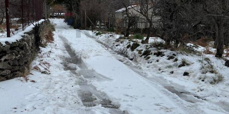 20260203105714-1021635-3