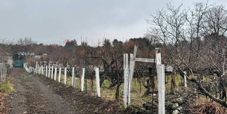 20260203105719-1021635-5