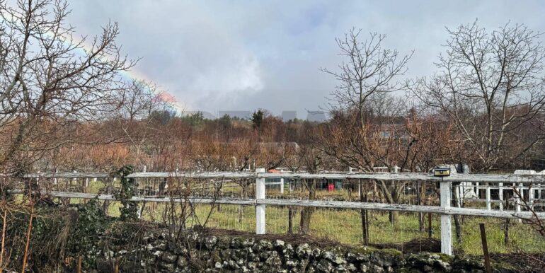 20260203105722-1021635-6