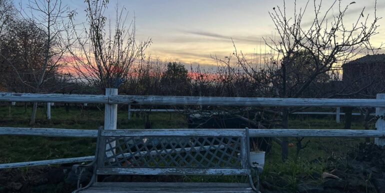 20260203105725-1021635-7