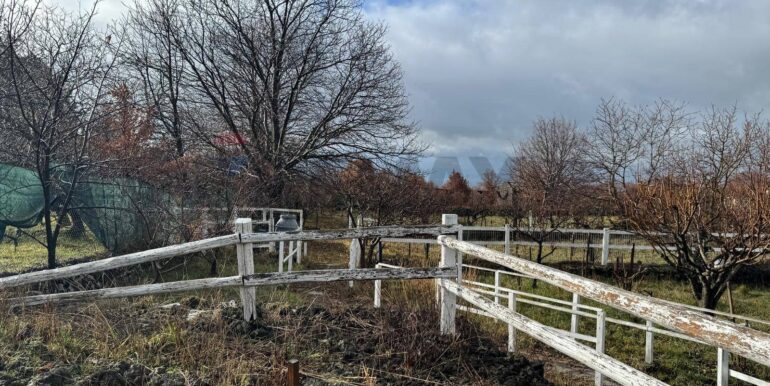 20260203105728-1021635-8