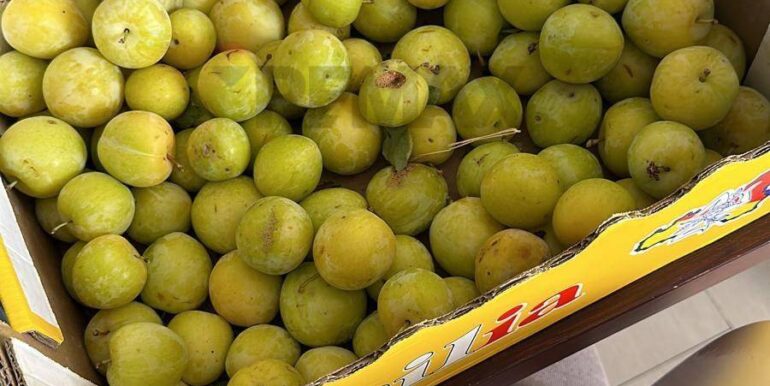 20260203105731-1021635-9