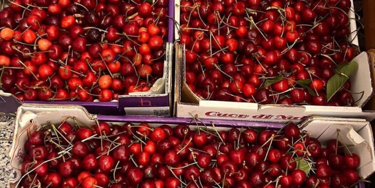 20260203105734-1021635-10