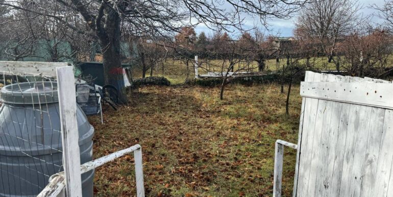 20260203105738-1021635-11