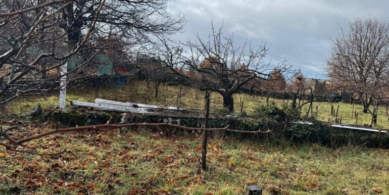 20260203105741-1021635-12