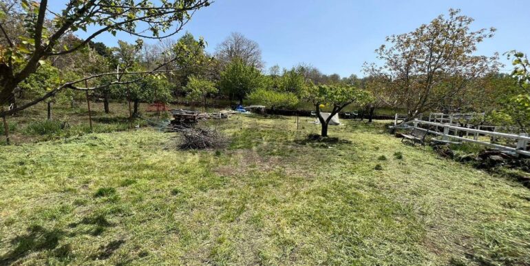 20260203105745-1021635-13