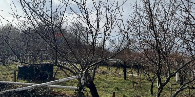 20260203105748-1021635-14