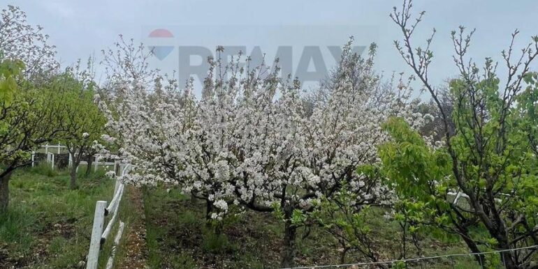 20260203105751-1021635-15