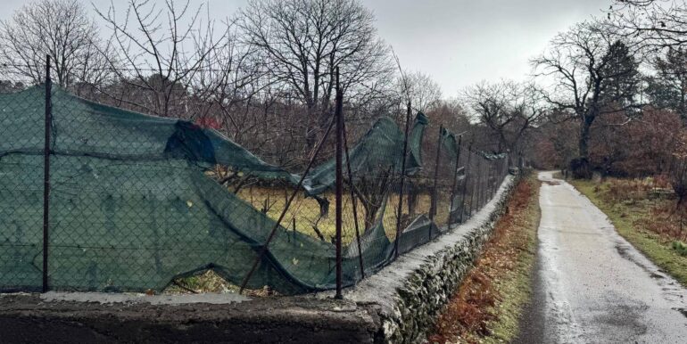 20260203105757-1021635-17