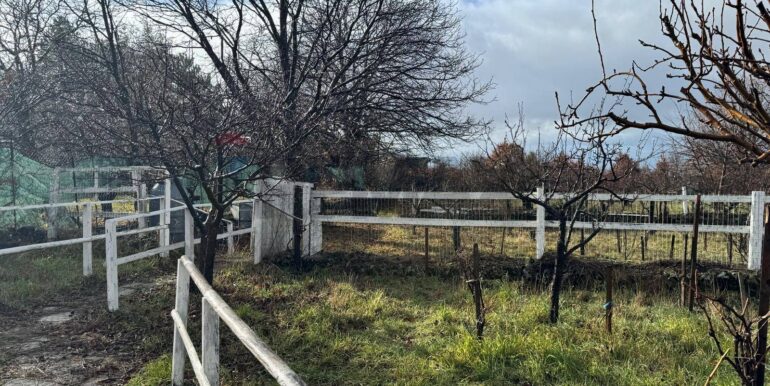 20260203105800-1021635-18