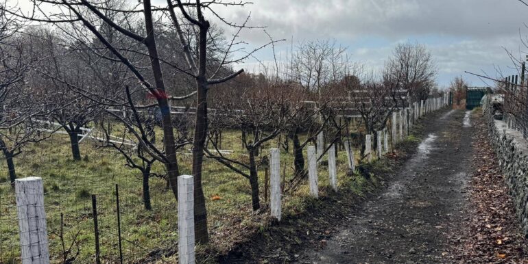 20260203105807-1021635-20