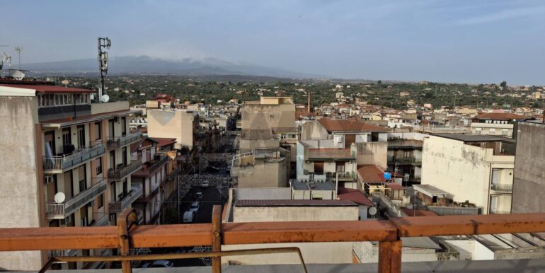 20260203180412-1020312-50