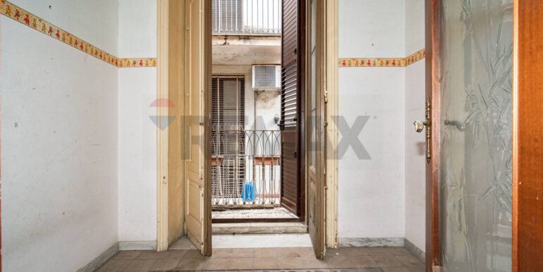 2026020384818-1021594-4