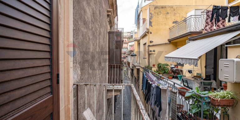 2026020384819-1021594-8