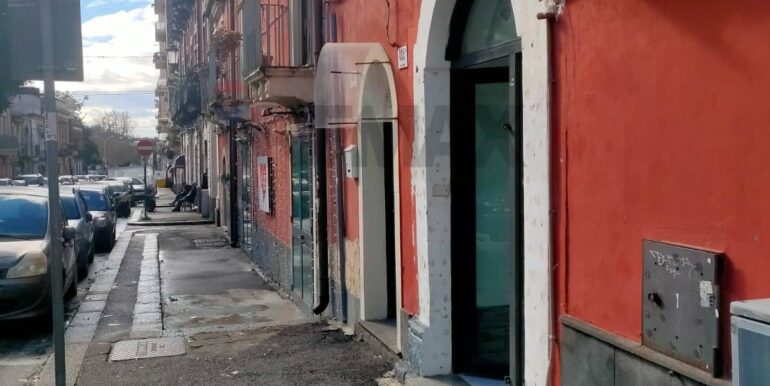 2026020391954-1021595-1