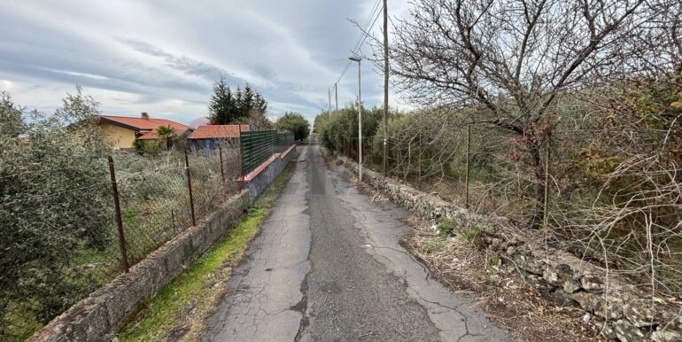 2026020393959-1021610-1