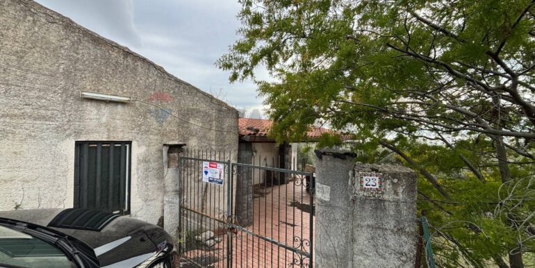 2026020394000-1021610-2