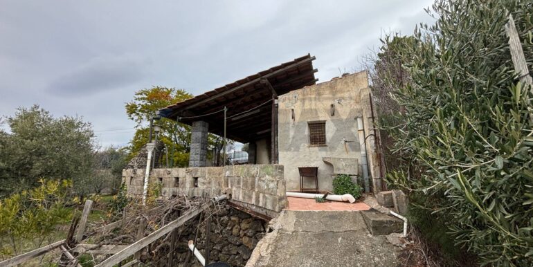 2026020394002-1021610-9