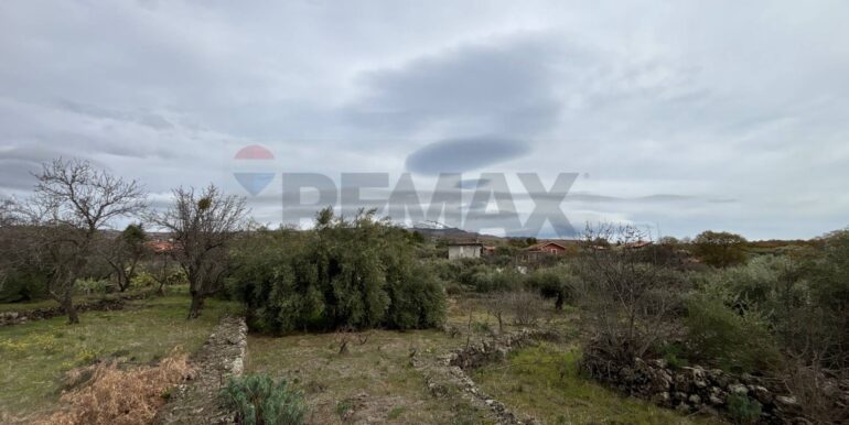 2026020394003-1021610-10