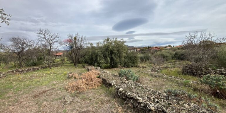 2026020394003-1021610-11