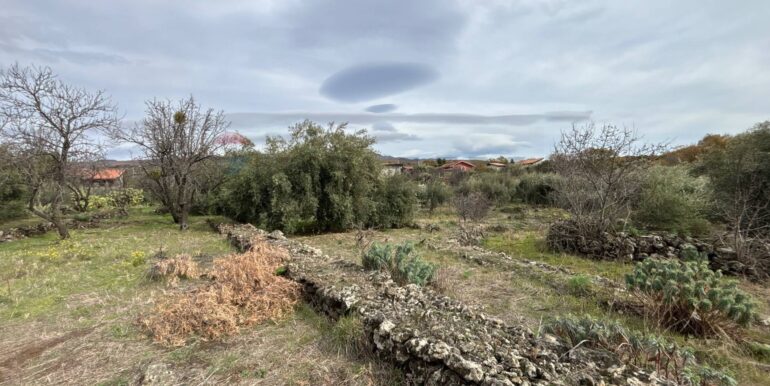 2026020394003-1021610-12