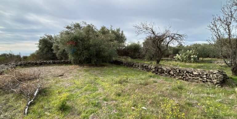 2026020394004-1021610-13