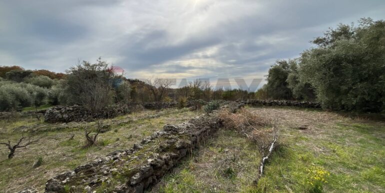 2026020394004-1021610-14