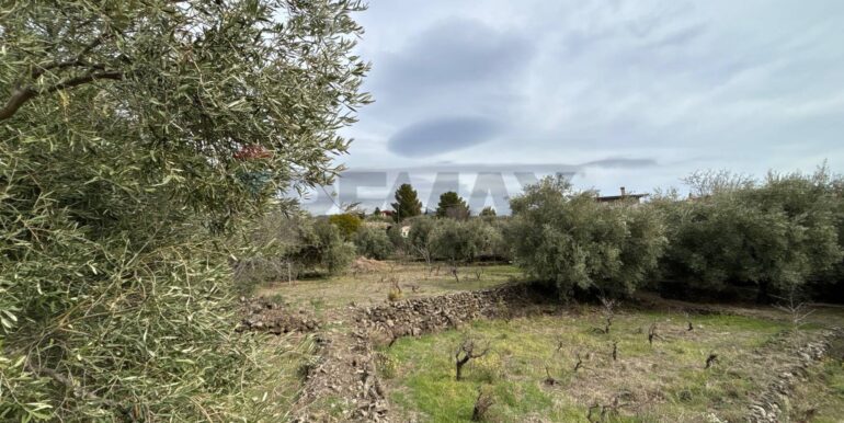 2026020394004-1021610-15