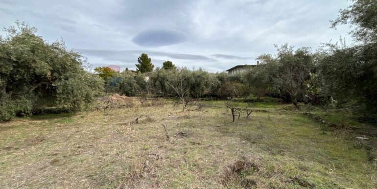 2026020394005-1021610-17