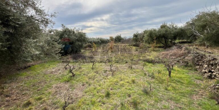 2026020394006-1021610-18