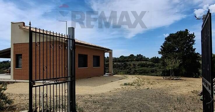 20260204205529-1021847-1