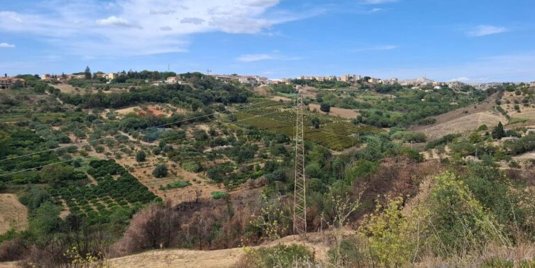 20260204205544-1021847-6