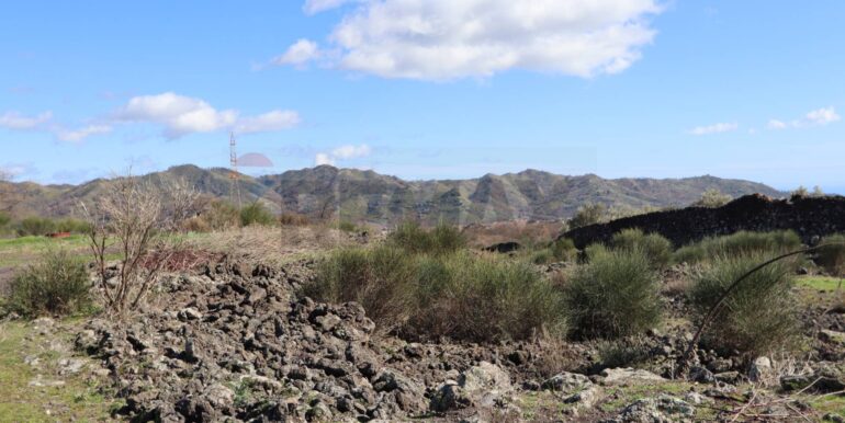 20260205161005-1022875-1