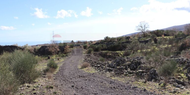 20260205161009-1022875-2