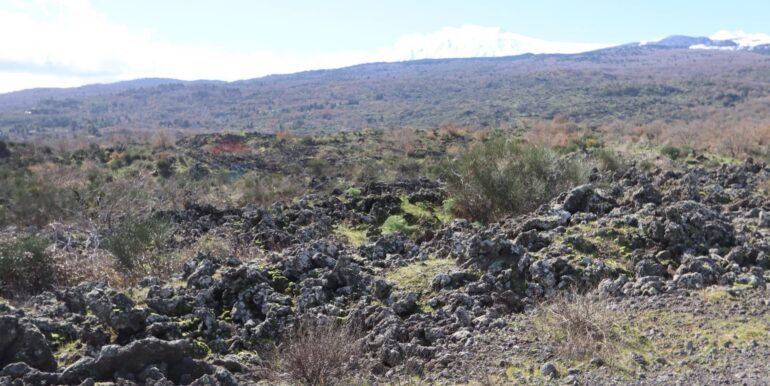 20260205161013-1022875-3