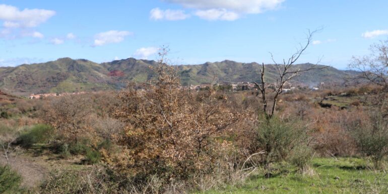 20260205161018-1022875-4