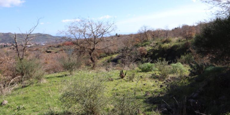 20260205161022-1022875-5