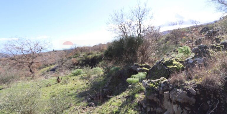 20260205161026-1022875-6