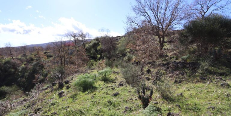 20260205161030-1022875-7