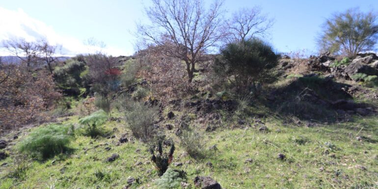 20260205161035-1022875-8