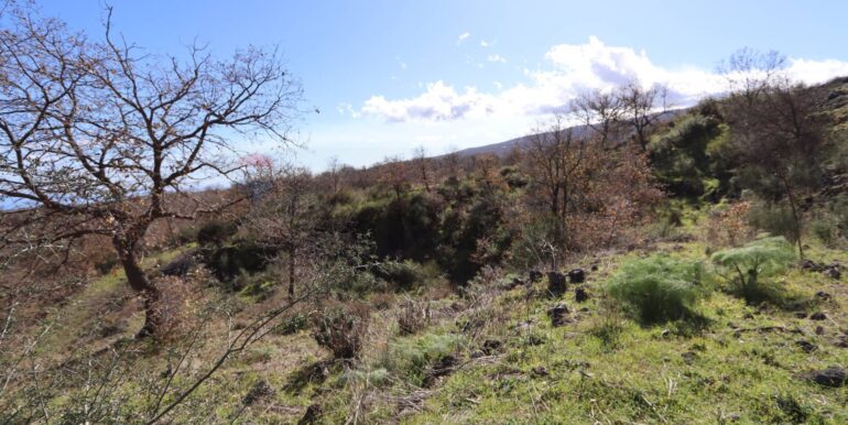 20260205161039-1022875-9