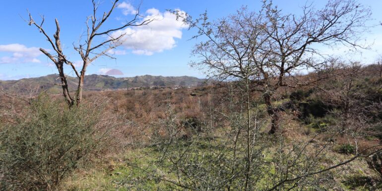 20260205161044-1022875-10