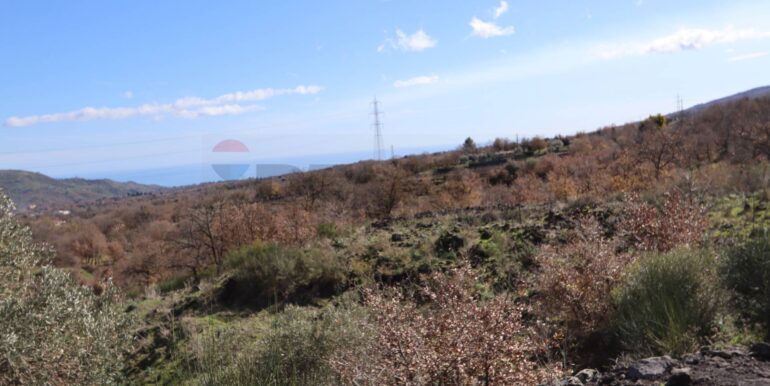 20260205161106-1022875-15