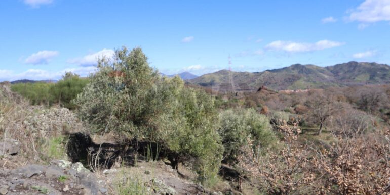 20260205161110-1022875-16