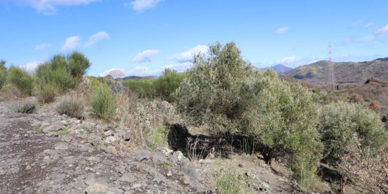 20260205161114-1022875-17