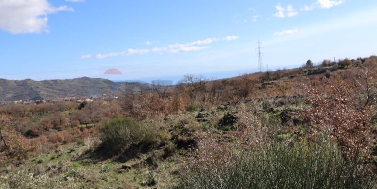 20260205161118-1022875-18