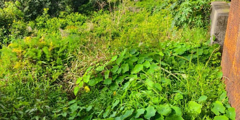 2026020582158-1022699-1